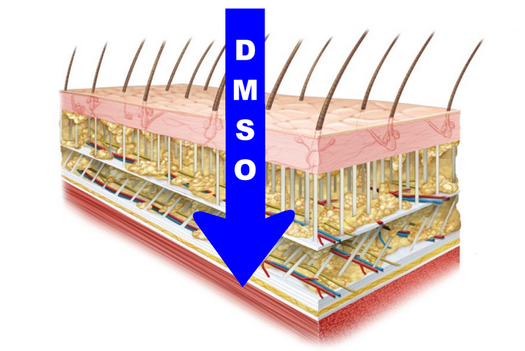 Introduction to DMSO (Dimethyl Sulfoxide)